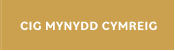 CIG MYNYDD CYMREIG