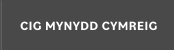 CIG MYNYDD CYMREIG