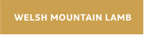 WELSH MOUNTAIN LAMB