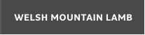WELSH MOUNTAIN LAMB